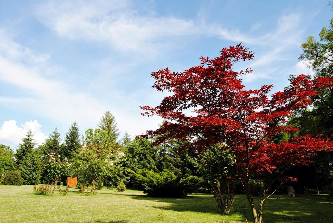 Villa Hedi Vendeghaz Dunakiliti Exterior foto