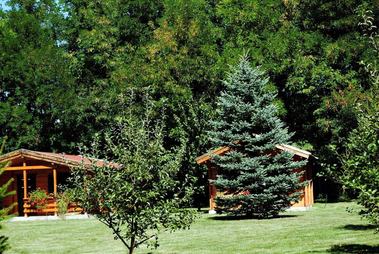 Villa Hedi Vendeghaz Dunakiliti Exterior foto